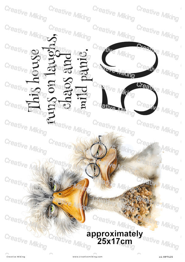 Crazy Duck Duo Funny Decoupage Rice Paper | RP7425