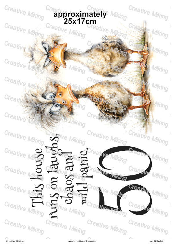 Crazy Duck Duo Funny Decoupage Rice Paper | RP7426