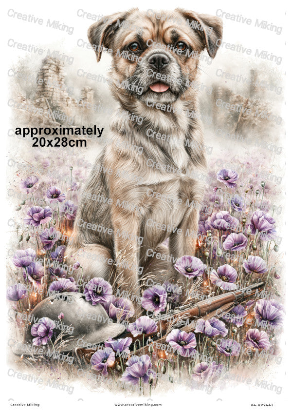 Dog In Poppy Field Remembrance Decoupage Rice Paper | RP7443