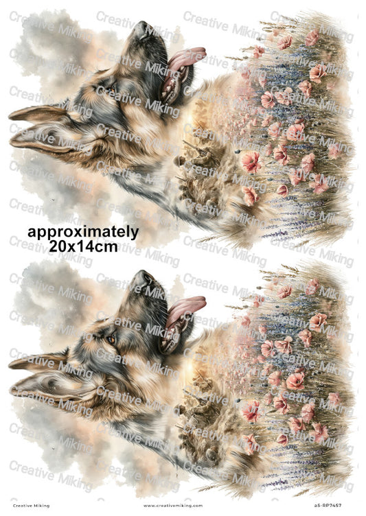 German Shepherd In Poppy Field Remembrance Decoupage Rice Paper | RP7457