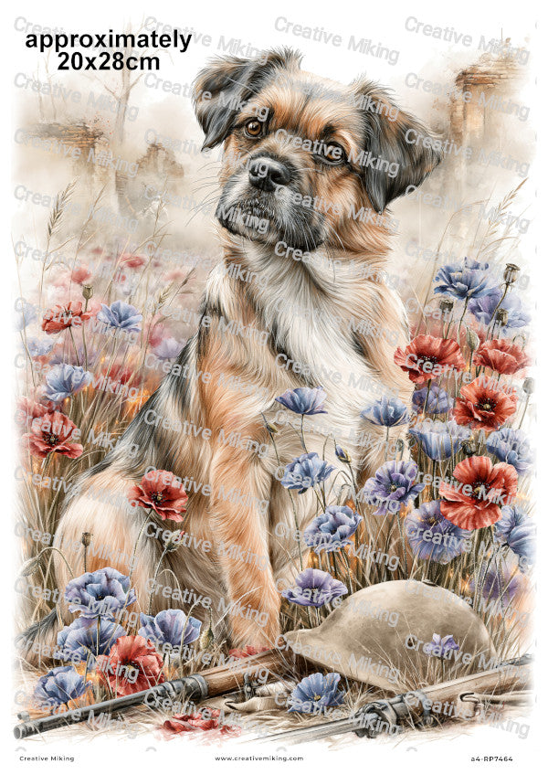 Dog In Poppy Field Remembrance Decoupage Rice Paper | RP7464