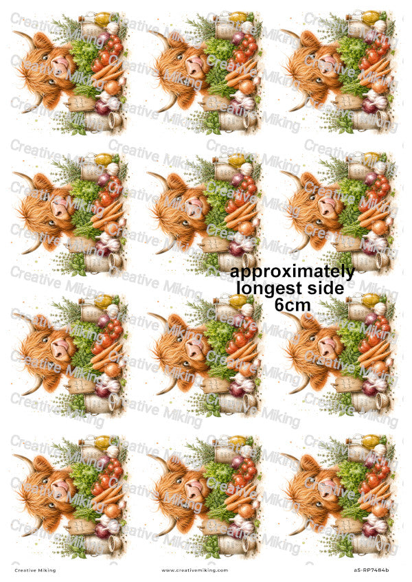 Highland Cow With Fresh Herbs And Vegetables Funny Decoupage Rice Paper | RP7484b