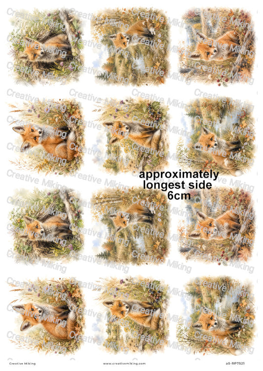 Baby Fox In Autumn Meadow Decoupage Rice Paper | RP7521