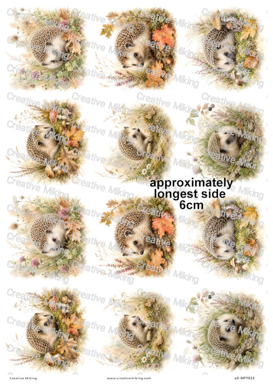 Hedgehog In Autumn Meadow Decoupage Rice Paper | RP7522