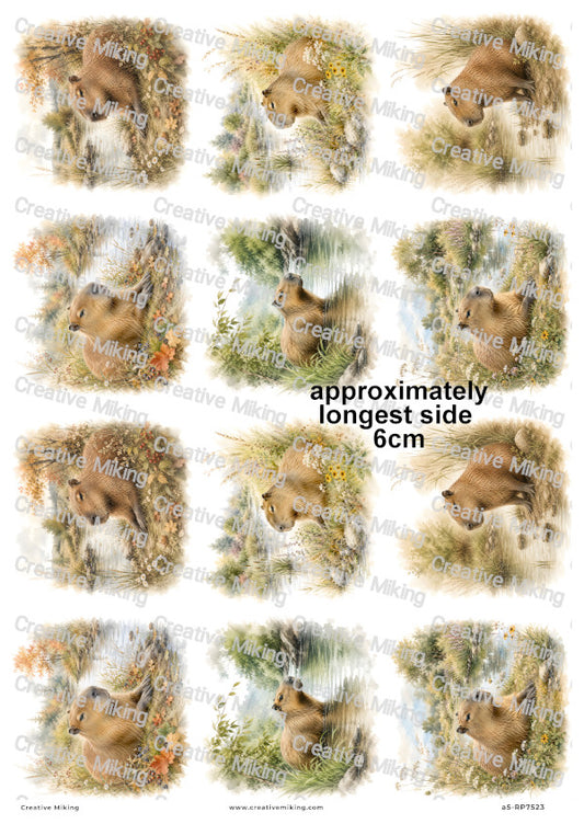 Capybara By The River Decoupage Rice Paper | RP7523