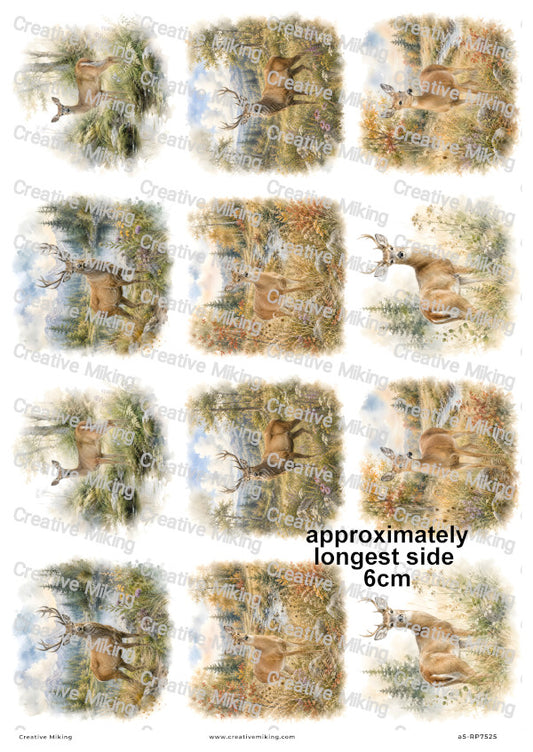 Deer In Autumn Meadow Decoupage Rice Paper | RP7525