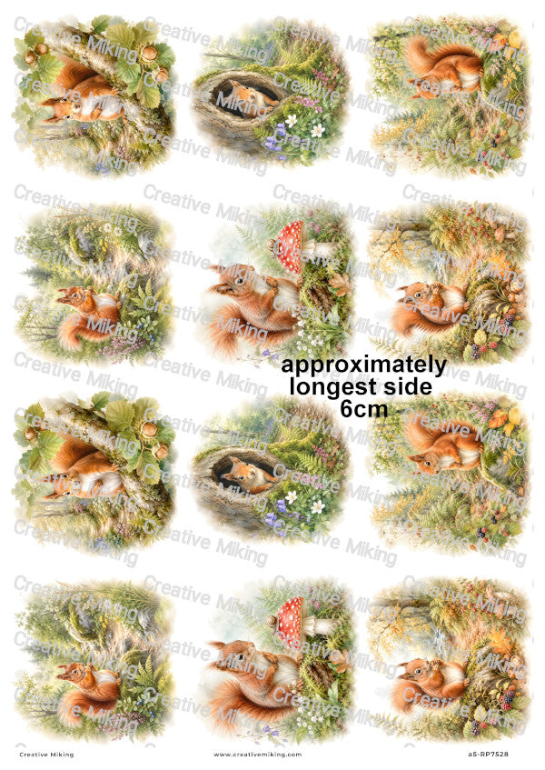 Squirrel In Autumn Woodland Decoupage Rice Paper | RP7528