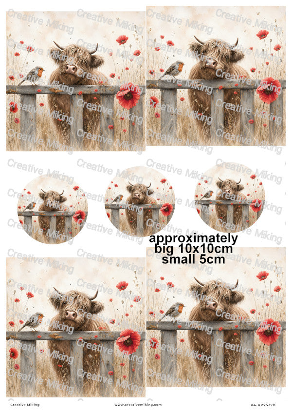 Highland With Robin Bird Among Poppies Decoupage Rice Paper | RP7537b