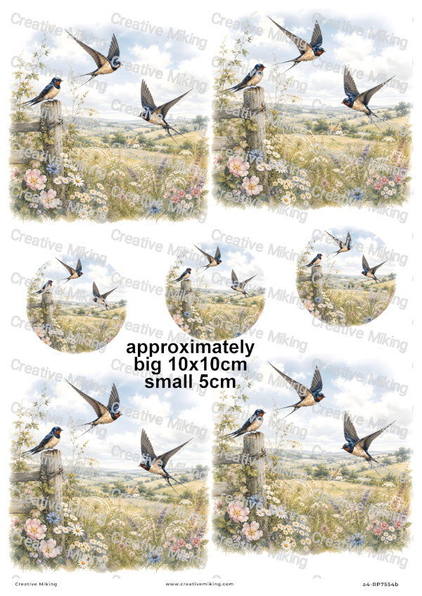 Swallow Birds Decoupage Rice Paper | RP7554b