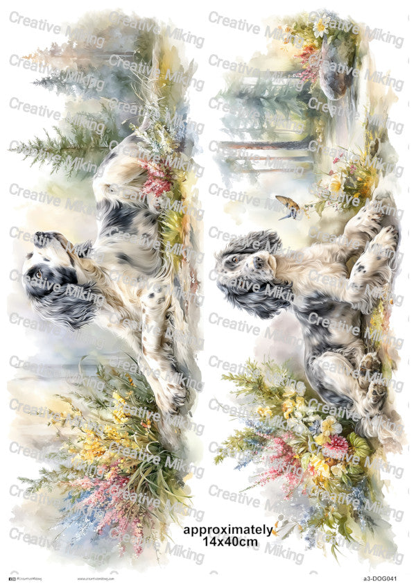 DOG041 - Cocker Spaniel