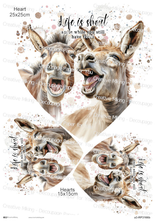 Donkey Funny Watercolor Splatters Decoupage Paper | RP3166b