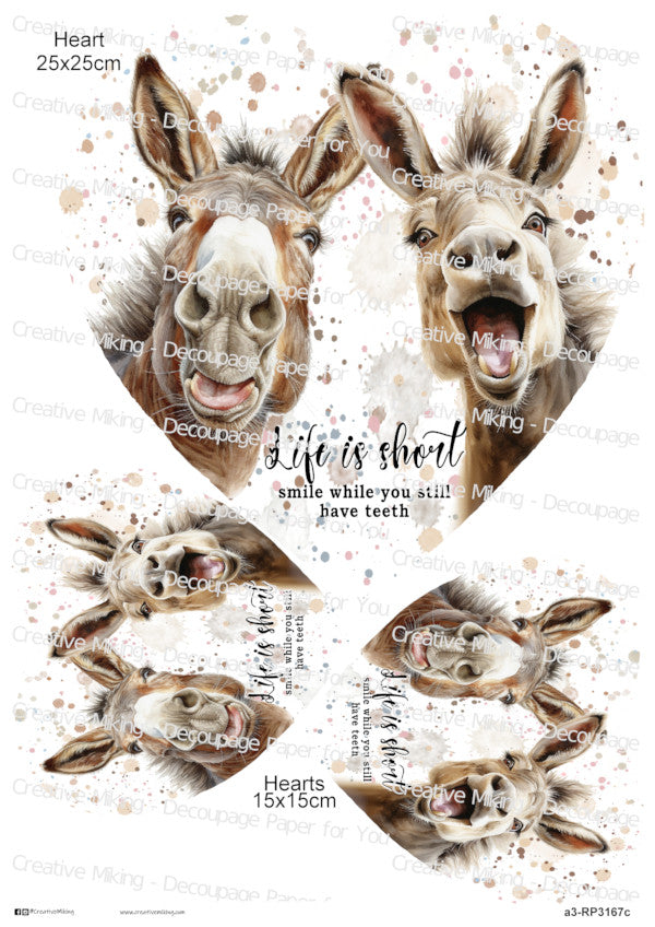 Donkey Funny Watercolor Splatters Decoupage Paper | RP3167c