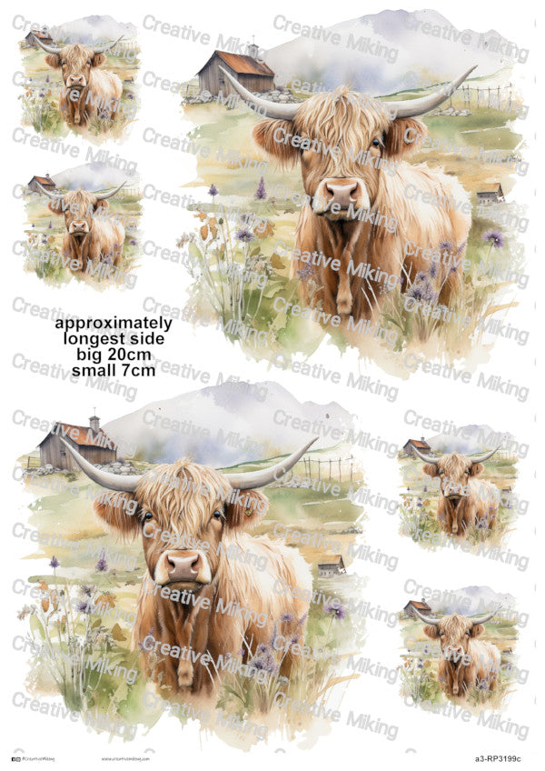 RP3199c - Highland Cow