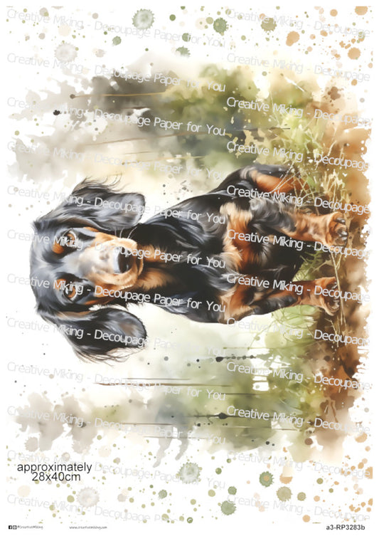 Dachshund Dog Decoupage Paper | RP3283b