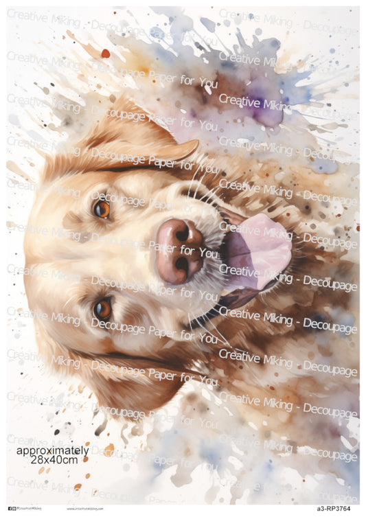 Yellow Labrador Dog Watercolor Splashes Decoupage Paper | RP3764