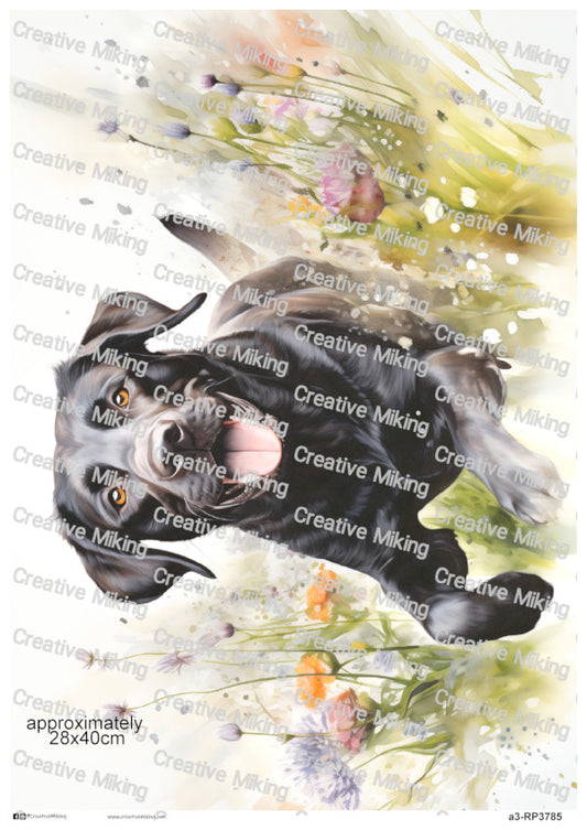 Black Labrador Retriever Dog among Wildflowers Decoupage Paper | RP3785