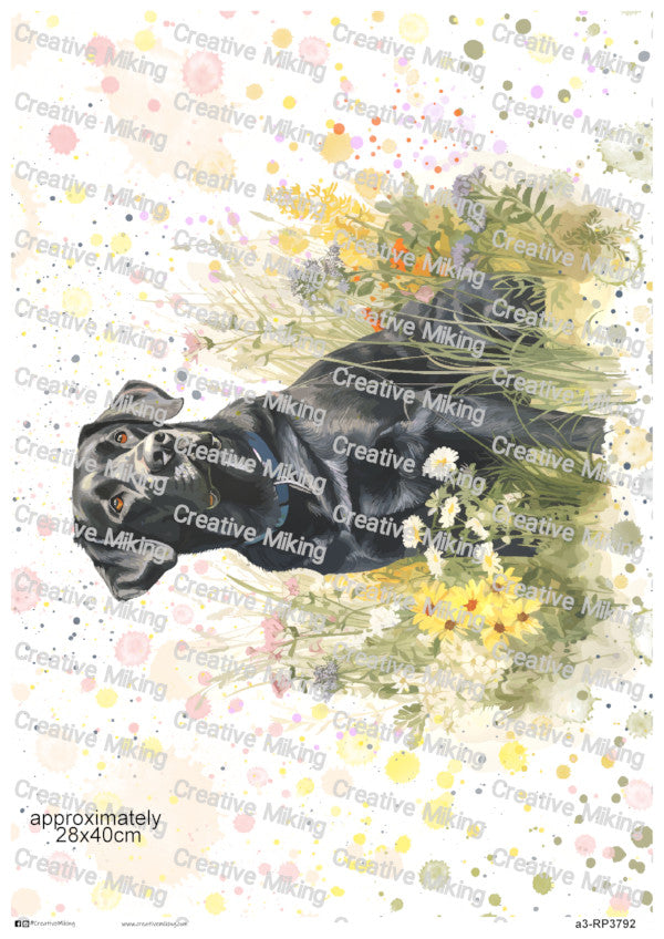 Black Labrador Retriever Dog Watercolor Splashes Decoupage Rice Paper | RP3792