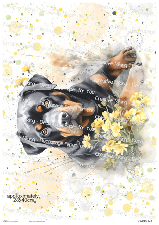 Rottweiler Dog With Yellow Flowers Watercolor Spalsh Decoupage Rice Paper | RP4241