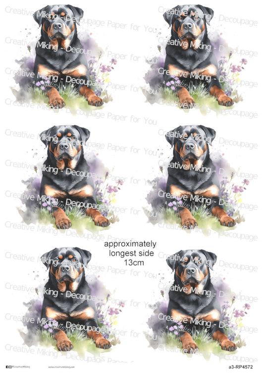 Rottweiler Dog Decoupage Paper | RP4572