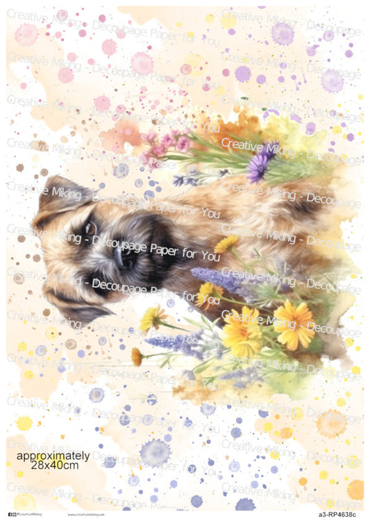 Border Terrier Dog With Flowers Watercolor Splash Decoupage Paper | RP4638c