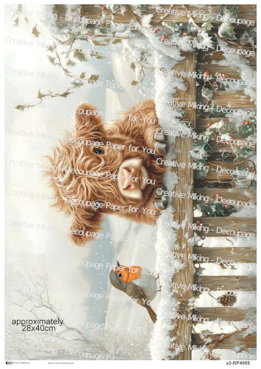 RP4955 - Highland Cow with Robin