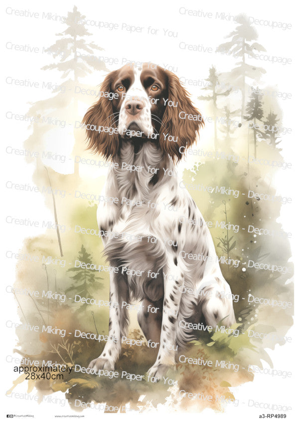 Springer Spaniel Dog Forest Decoupage Paper | RP4989
