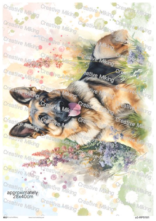German Shepherd Dog Watercolor Splashes Decoupage Paper | RP5181