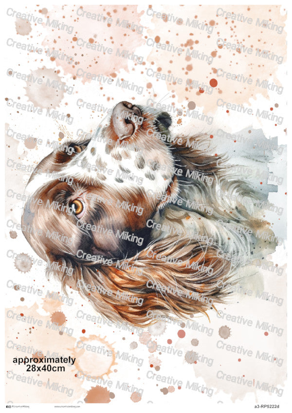Springer Spaniel Dog Portrait Watercolor Splashes Decoupage Paper | RP5222d
