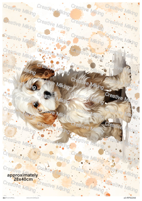Cavachon Dog Watercolor Splashes Decoupage Paper | RP5224d