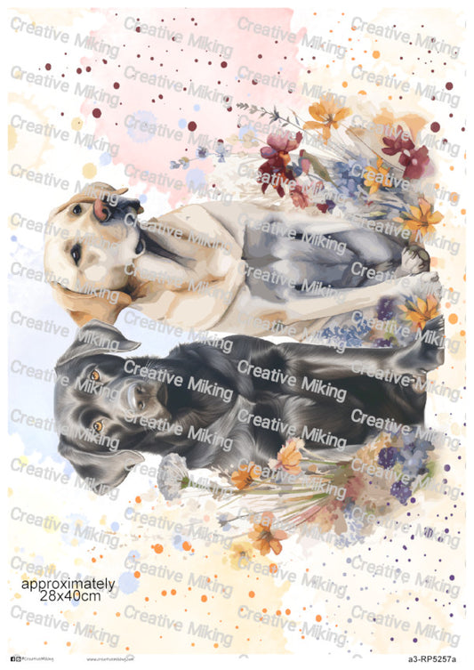 Yellow Labrador and Black Labrador Dogs Among Wildflowers Watercolor Splashes Decoupage Rice Paper | RP5257a
