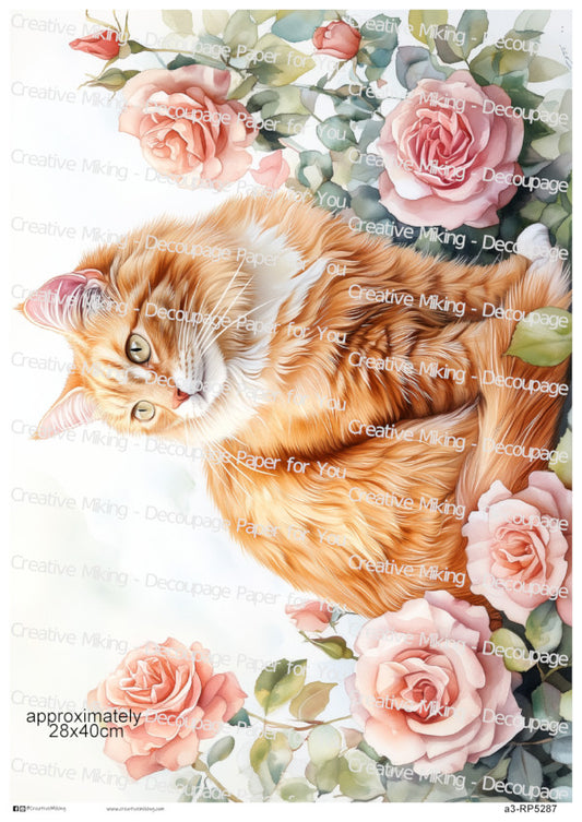 Ginger Tabby Cat Portrait Among Roses Decoupage Rice Paper | RP5287