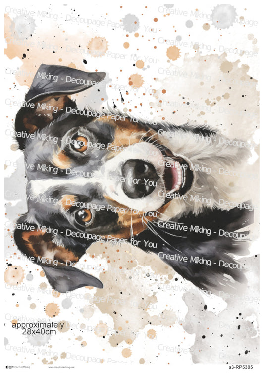 Jack Russell Terrier Dog Portrait Watercolor Splashes Decoupage Paper | RP5305