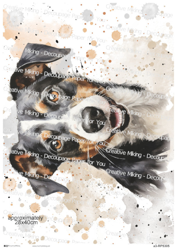 Jack Russell Terrier Dog Portrait Watercolor Splashes Decoupage Paper | RP5305
