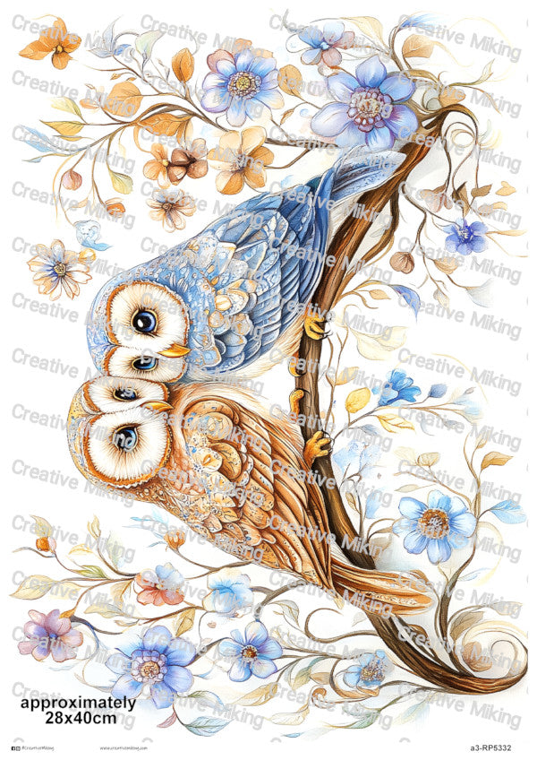 Two Owls On Branch Among Flowers Decoupage Paper | RP5332