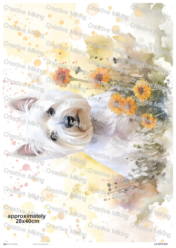West Highland White Terrier Dog Among Flowers Watercolor Splashes Decoupage Paper | RP5369