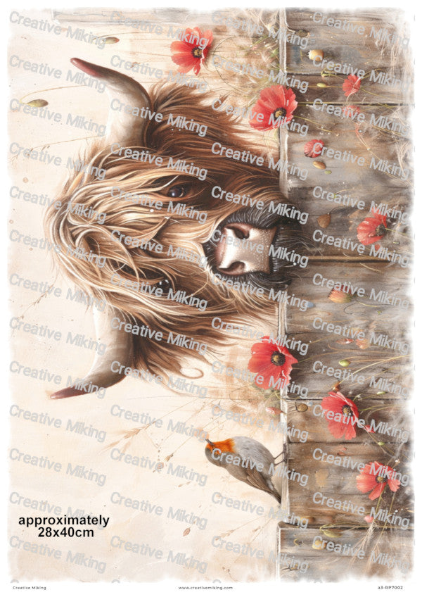 Highland Cow Peeking Over Wooden Fence with Robin Among Poppies Decoupage Paper | RP7002
