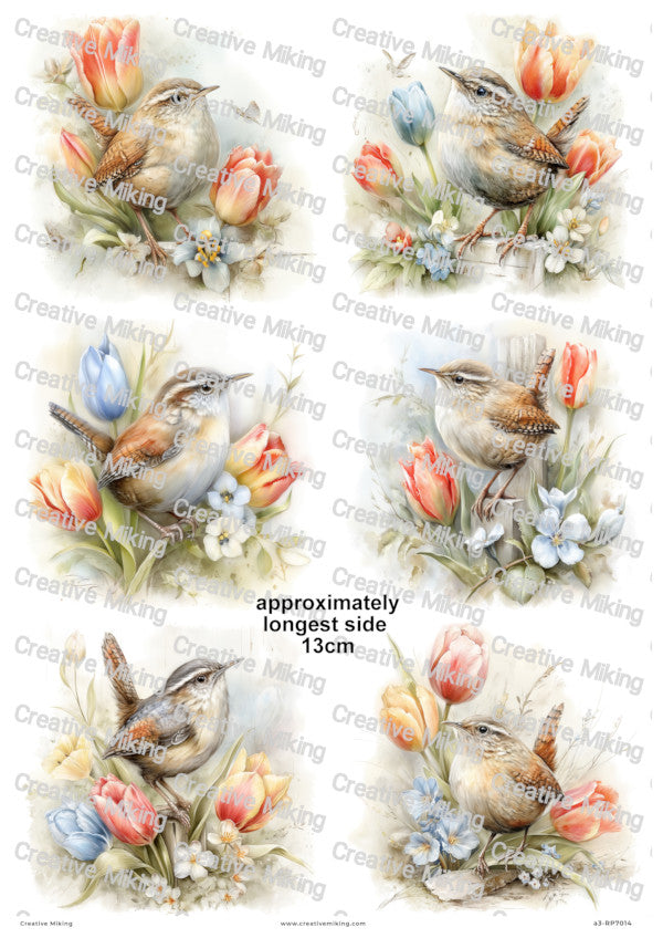 Wren Bird With Spring Flowers Decoupage Paper | RP7014