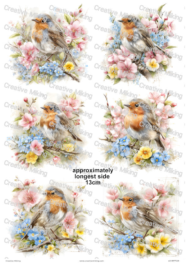 Robin Bird With Spring Flowers Decoupage Rice Paper | RP7120