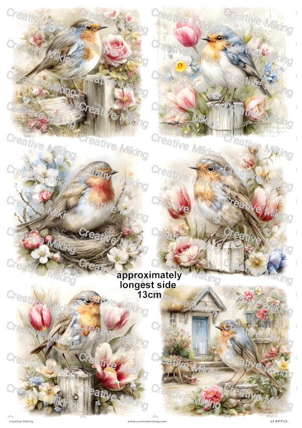 Robin Bird With Spring Flowers Decoupage Rice Paper | RP7123