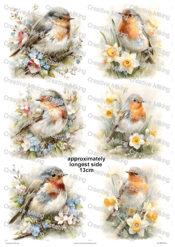 Robin Bird With Spring Flowers Decoupage Rice Paper | RP7124