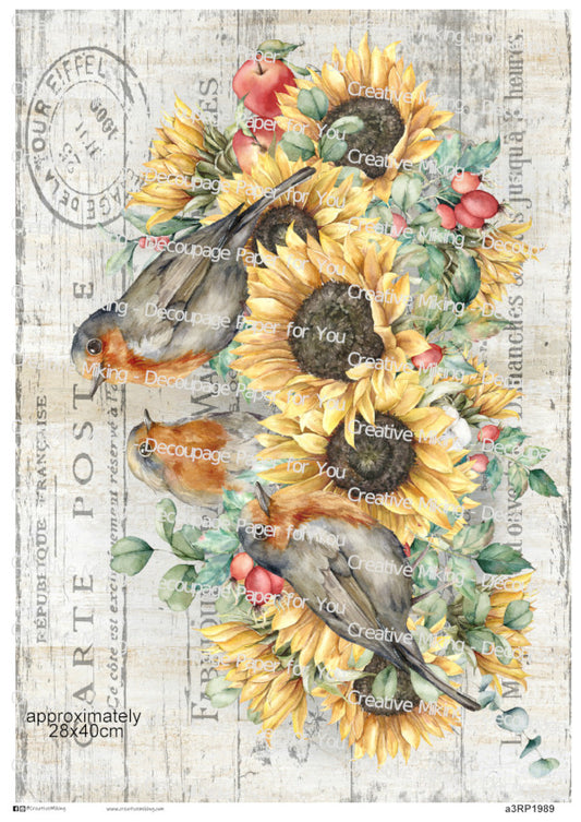 Robin Birds Among Sunflowers Decoupage Paper | RP1989