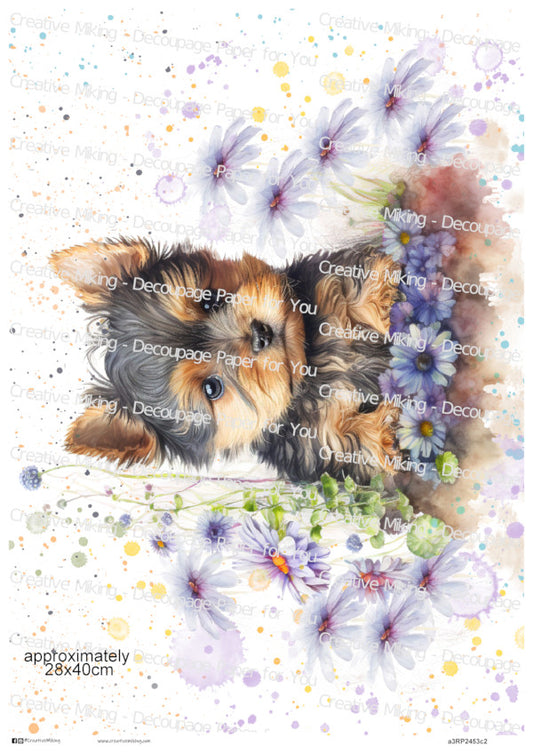 Yorkshire Terrier Dog Among Floral Splashes Decoupage Paper | RP2453c2