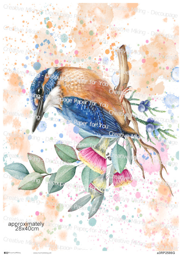 Kingfisher Bird Watercolor Splash Decoupage Paper | RP2586g