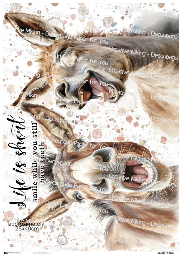 Donkey Funny Watercolor Splatters Decoupage Paper | RP3166