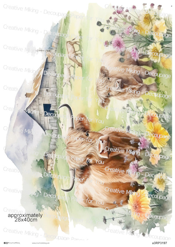Highland Cow With Calf Among Wildflowers Decoupage Paper | RP3197