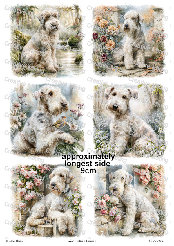 Bedlington Terrier Dog