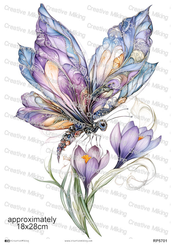 Butterflies & Moths
