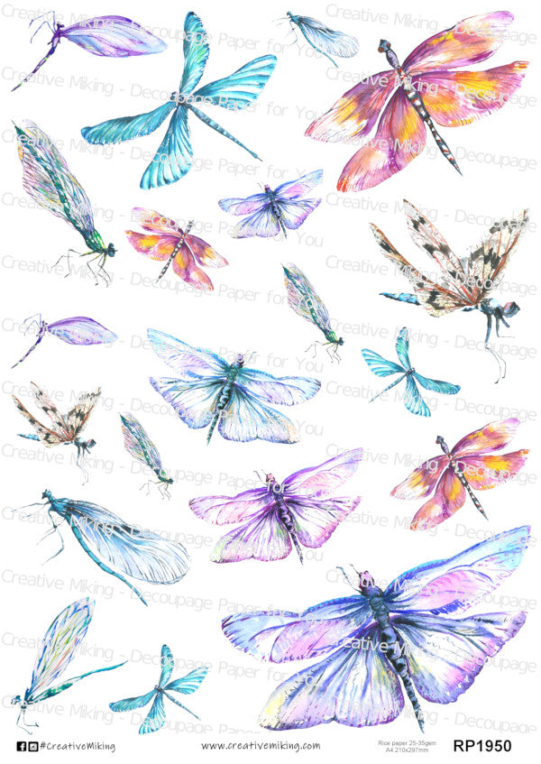 Dragonflies