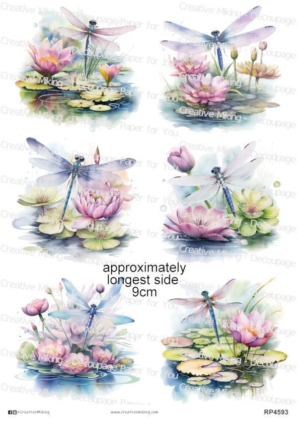 Dragonflies Collection