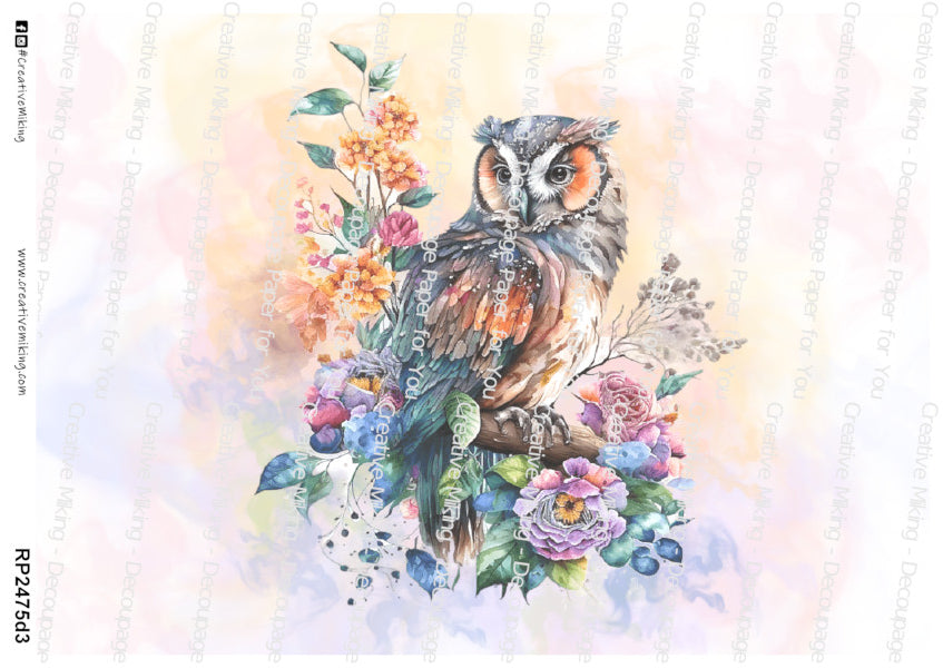 Owls Collection